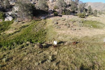 DJI_0059.JPG