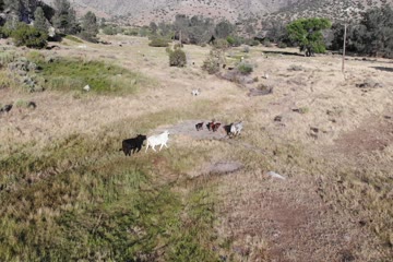 DJI_0060.MP4