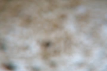 GH033364.MP4