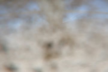 GH043364.MP4