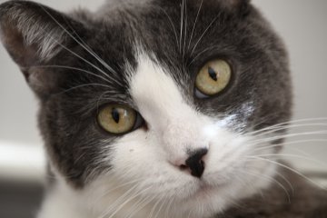 DSC_0307.JPG