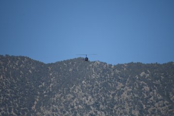 DSC_0309.JPG