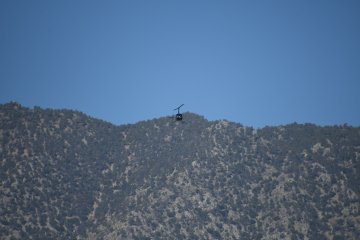 DSC_0310.JPG