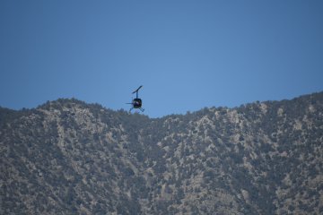 DSC_0311.JPG