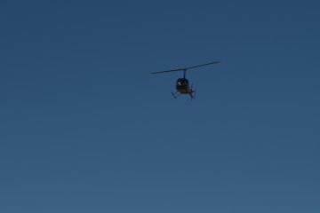 DSC_0313.JPG