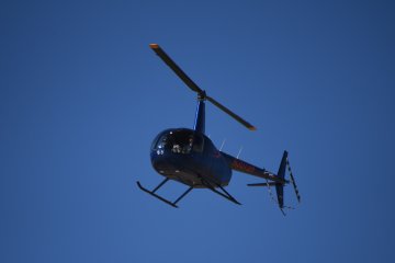 DSC_0314.JPG