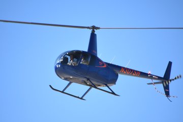 DSC_0317.JPG