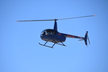 DSC_0318.JPG