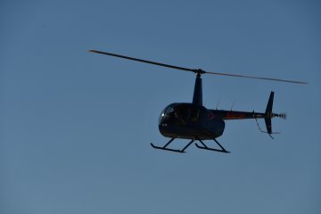 DSC_0320.JPG