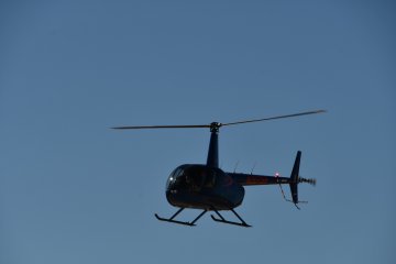 DSC_0321.JPG