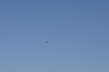 DSC_0325.MOV