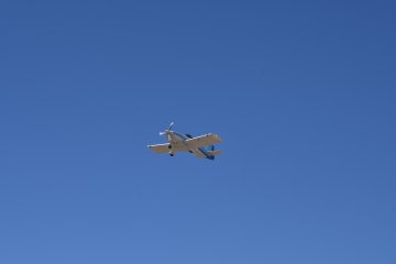 DSC_0375.JPG