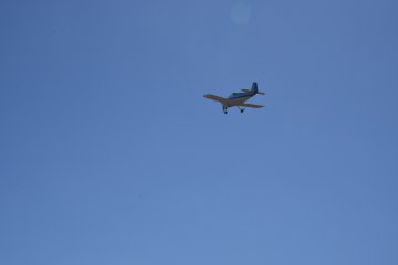 DSC_0385.JPG