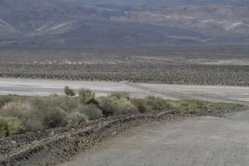 DSC_0401.JPG