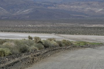 DSC_0402.JPG
