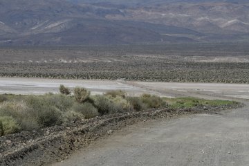 DSC_0403.JPG