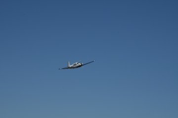 DSC_0462.JPG