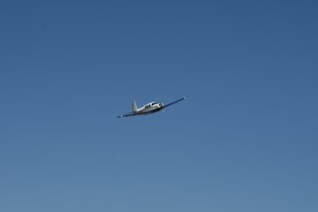 DSC_0463.JPG