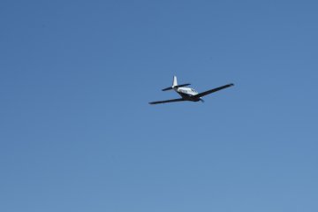 DSC_0481.JPG