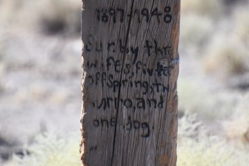DSC_0493.JPG