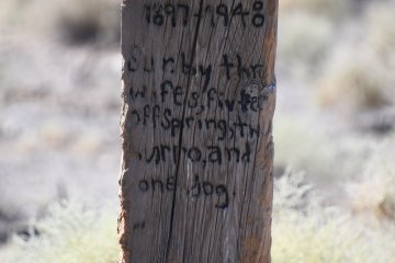 DSC_0494.JPG