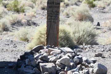 DSC_0495.JPG
