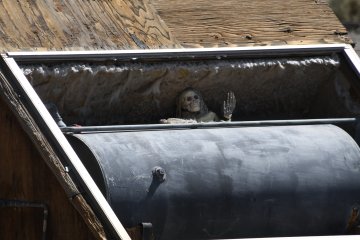 DSC_0498.JPG