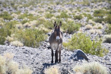 DSC_0506.JPG