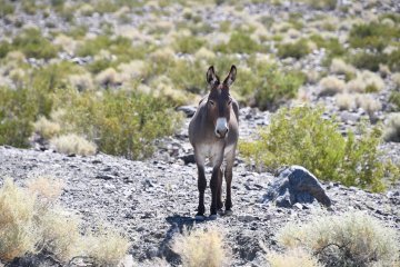 DSC_0507.JPG