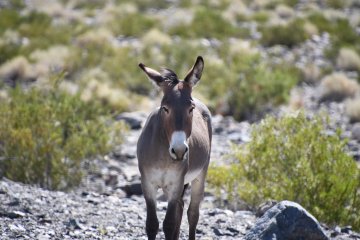 DSC_0508.JPG