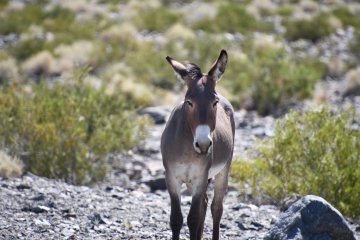 DSC_0509.JPG