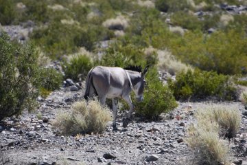 DSC_0512.JPG