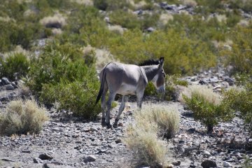 DSC_0513.JPG