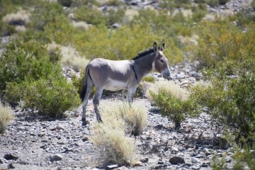 DSC_0517.JPG