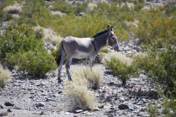 DSC_0518.JPG