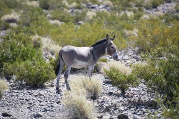 DSC_0519.JPG