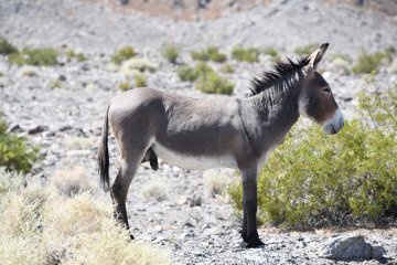 DSC_0531.JPG