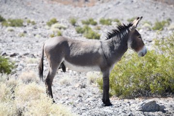 DSC_0532.JPG