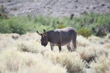 DSC_0540.JPG