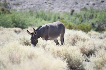 DSC_0541.JPG
