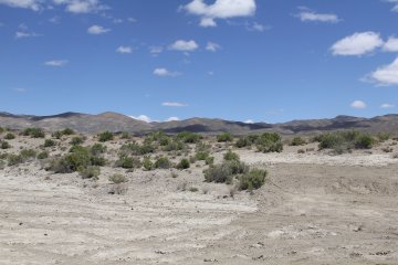 IMG_9505.JPG