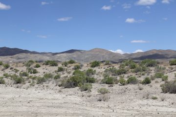 IMG_9506.JPG