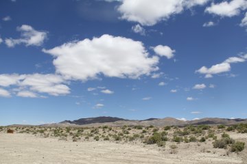 IMG_9507.JPG