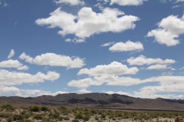 IMG_9508.JPG