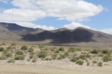 IMG_9510.JPG