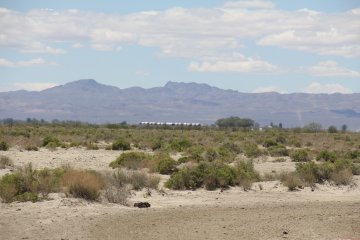 IMG_9517.JPG