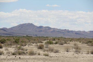IMG_9518.JPG