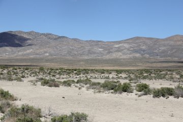 IMG_9521.JPG