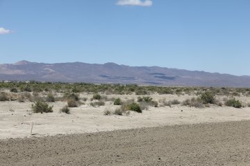 IMG_9522.JPG
