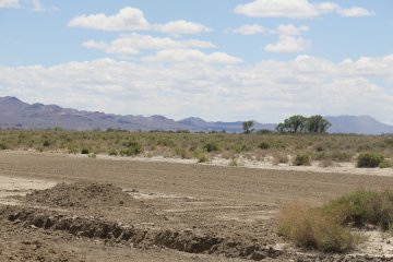 IMG_9523.JPG